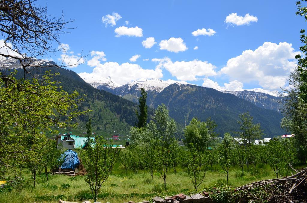 Gezellig Inn - Tree Hill Cottages&Kanyal Villas Manāli Kültér fotó